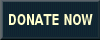 Donate Now button