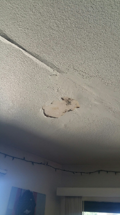 mold