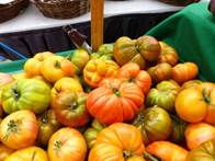 Stock-HeirloomTomatoes