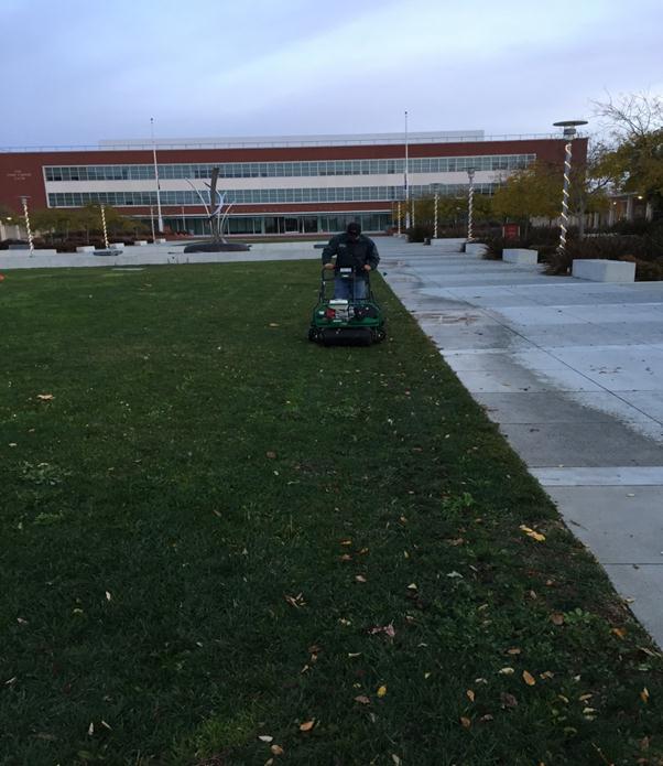 Aerating Lawn CCP