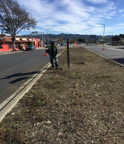 Weed abatement Cutting Ave Median