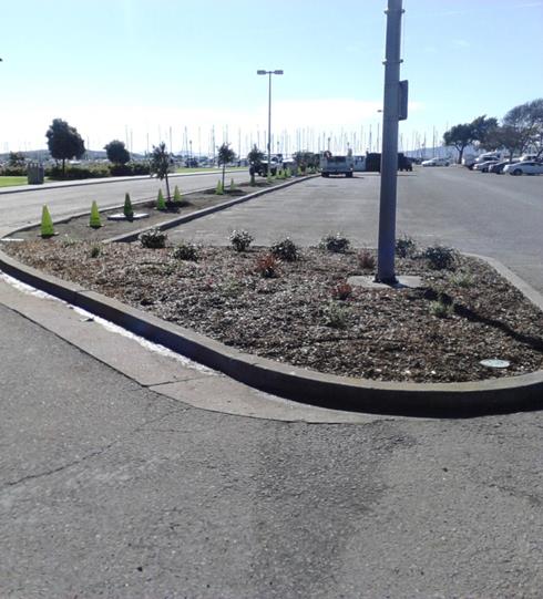 Relandscaping Marina Median