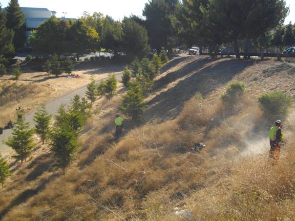 Hilltop Lake Fire  Danger Abatement