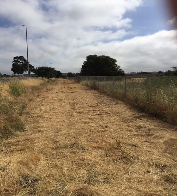 Parkway weed abatement