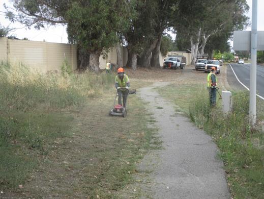 Weed abatement Richmond Parkway