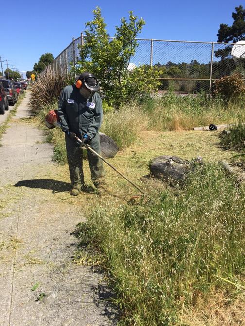 Weed abatement Humboldt Playlot
