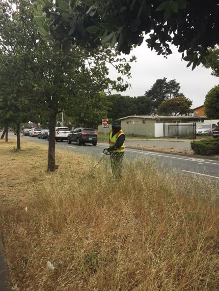 Weed abatement Cutting Ave