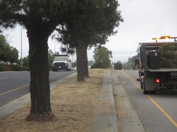 Richmond Parkway Center Median Maintenance 8-9-17