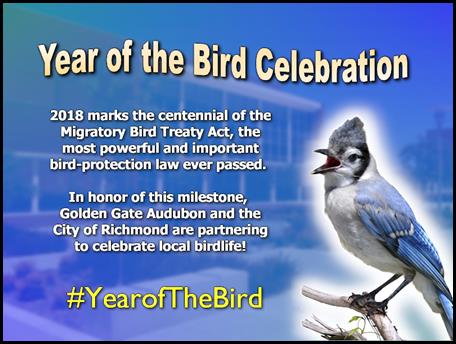 0404-Year of The Bird - New Day 2