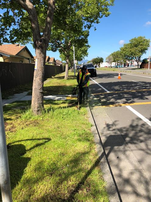 Cutting Ave Weed abatement