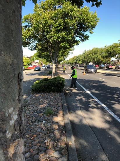 Weed abatement Cutting Ave