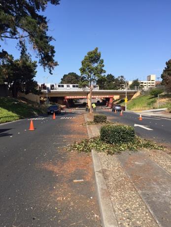 Mcdonald underpass weed abatement