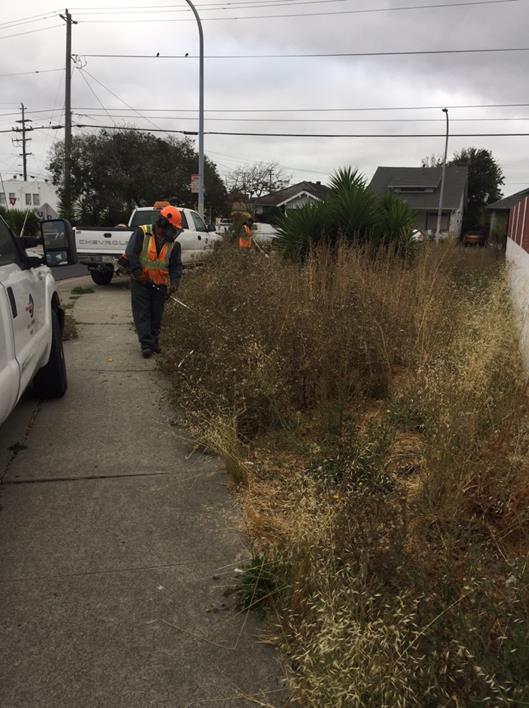 23rd Median