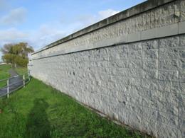 IMG_0677