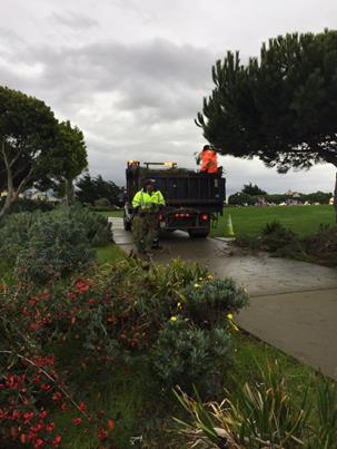 Trail Cleanup (Marina)