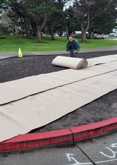 Sheet Mulching