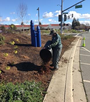 Mulching