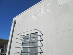 IMG_0906