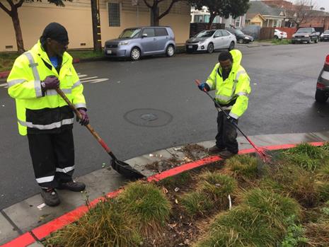 Nevin Bioswale_Litter Removal3