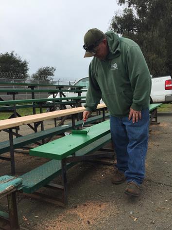 Nicholl Park_Bleacher Painting