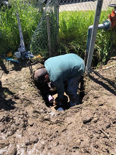 Nicholl Park_Irrigation Repair