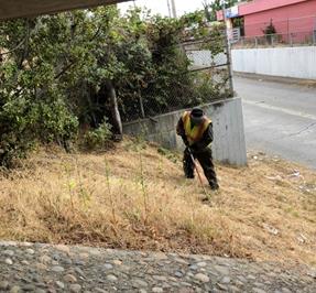 Marina Way Underpass_Weed Abatement