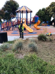 Burg Park weed abatement