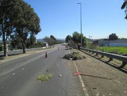 Parkway (1)