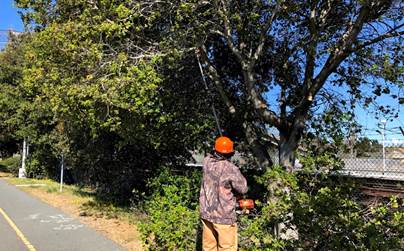 Richmond Greenway March 26, 2020